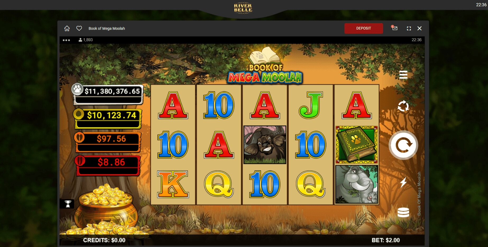 Book of Mega Moolah gameplay