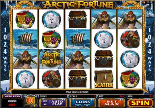 machine a sous arctic fortune