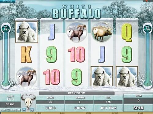 white-buffalo-machine-slot