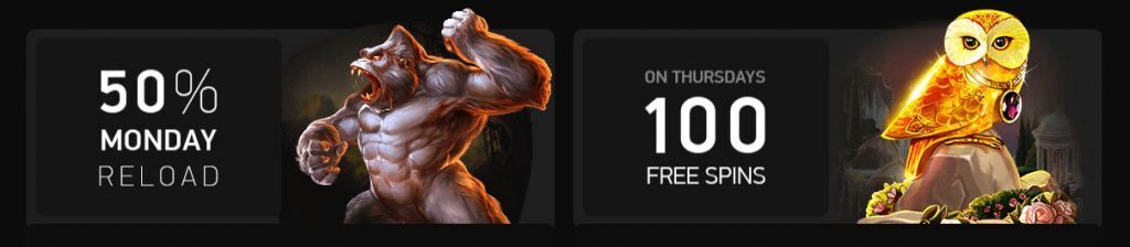 Gorilla and Owl next to text about casino bonuses