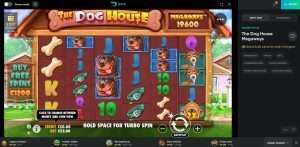 The Dog House drip casino