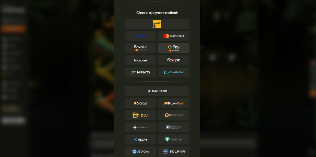 CashWin-Casino-Payment-methods-screenshot