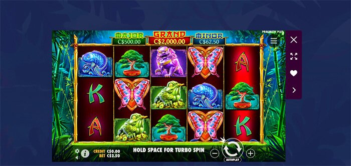 Kaulana - Pandas Fortune