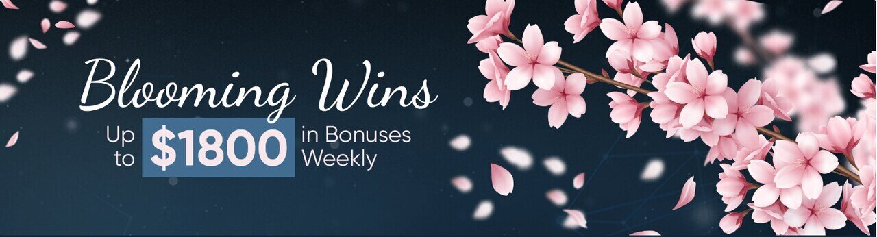 north-casino-blooming-wins-promotion