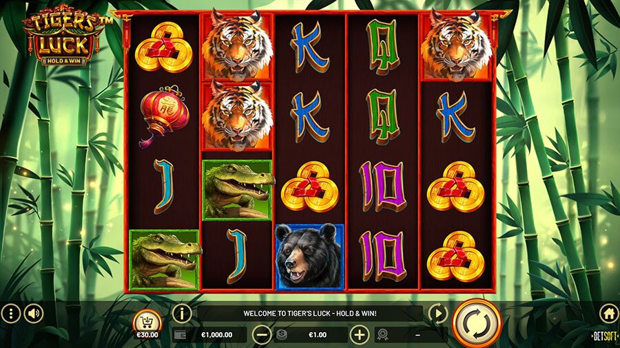 Tigers Luck Slot Game