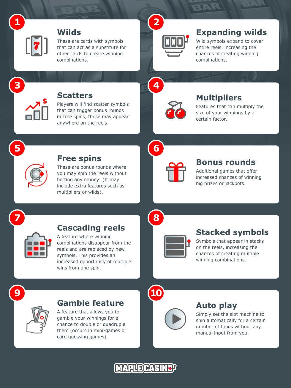 Slot Machine Features Infographic