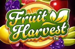 Fruit-Harvest slots