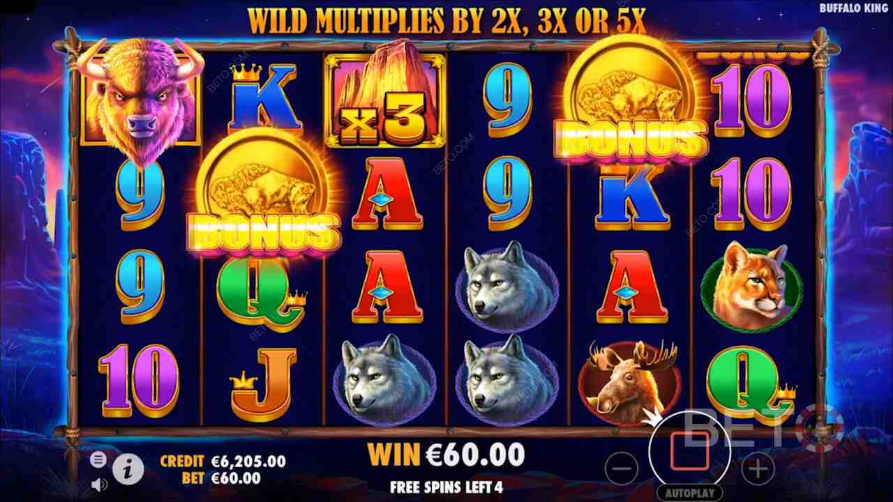 Buffalo King Win