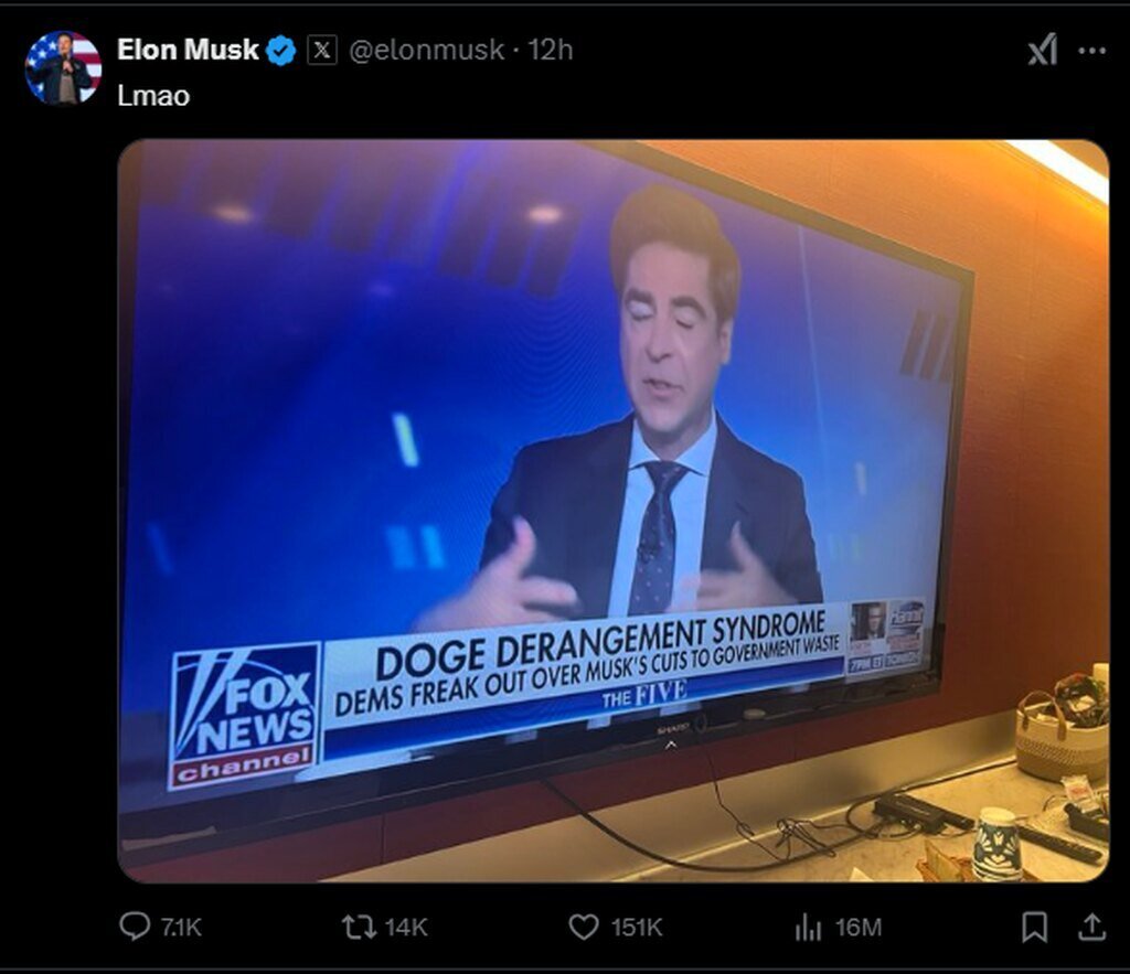 Elon Tweets on the news