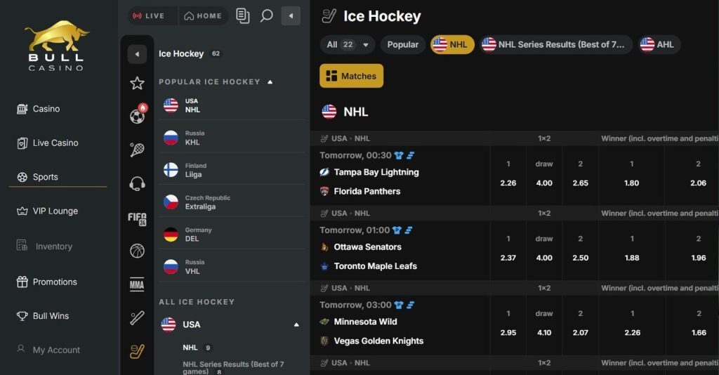 Ice Hockey Betting on Bull Casino