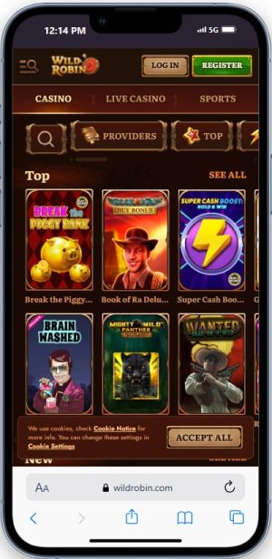 Wild Robin Casino on Mobile