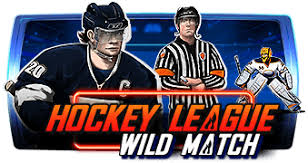 Hockey League Wild Match