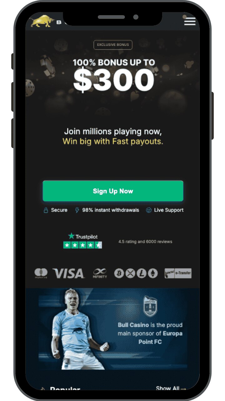 Bull-Casino-payment-methods-for-Canadians
