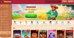 bulletz casino canada